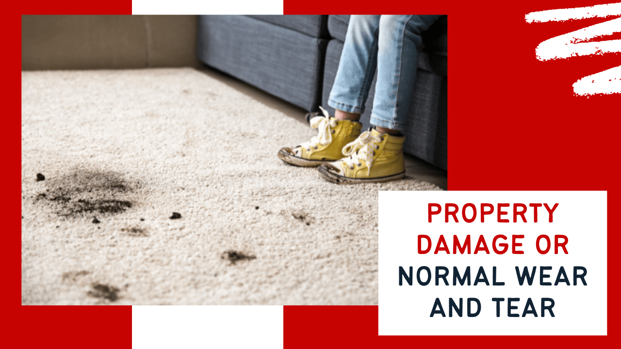 The Difference Between Normal Wear and Tear and Excessive Damage